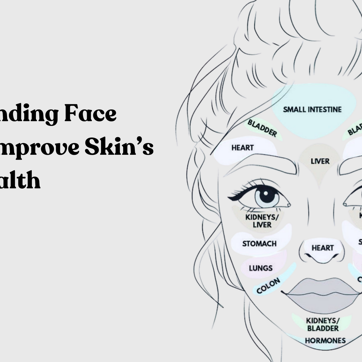 Understanding Something Face Understanding Face Mapping to Improve Skin’s Health